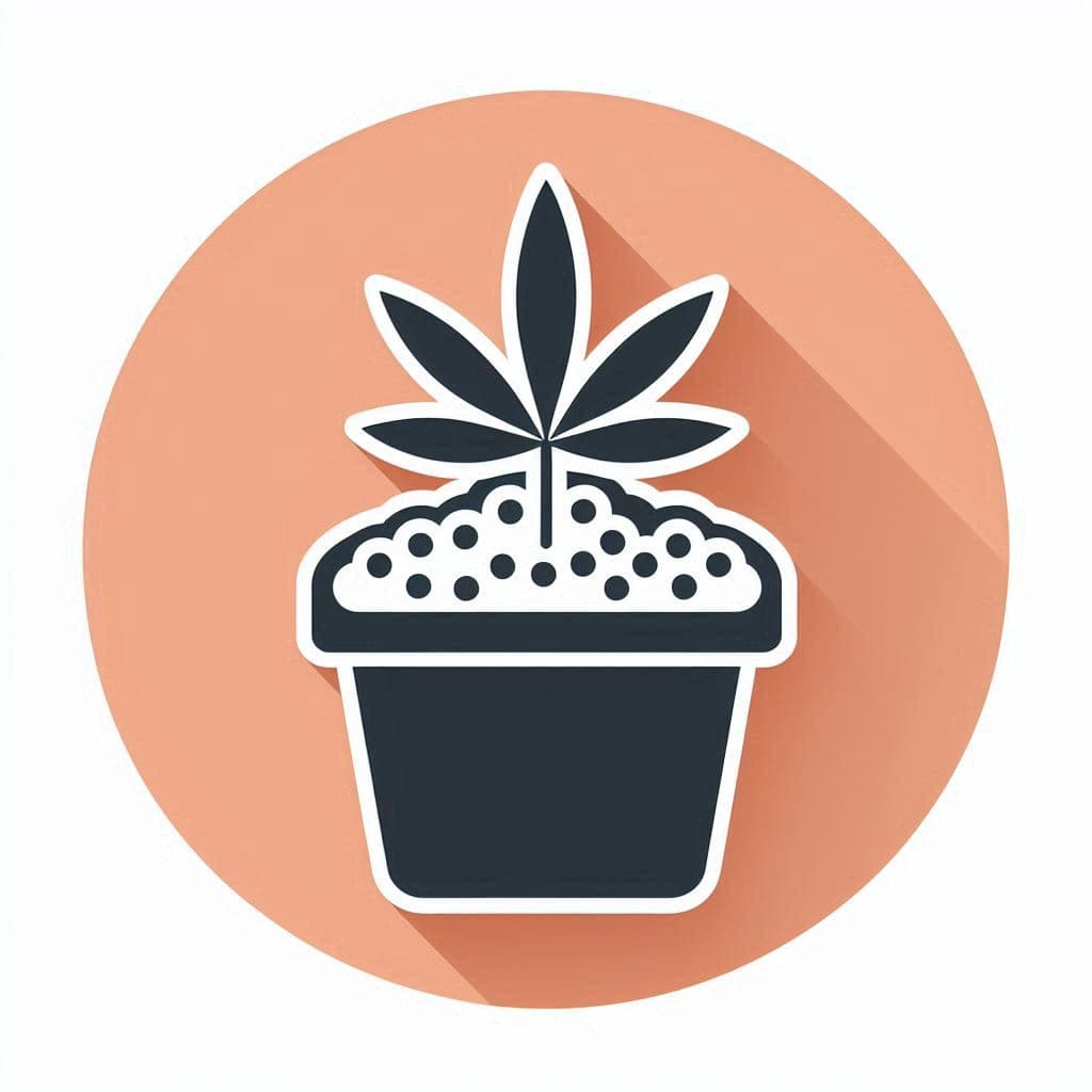 Cannabis Seeds in Connecticut