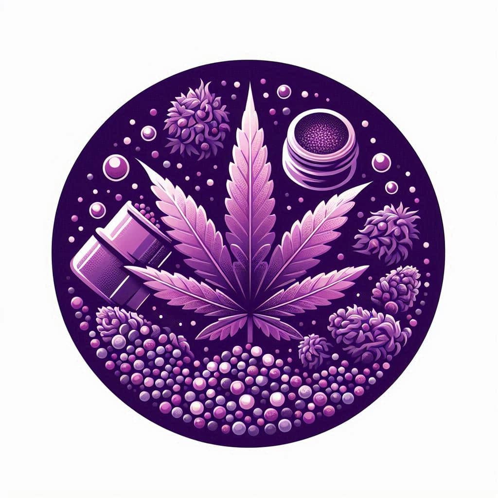 Purple Haze Seeds
